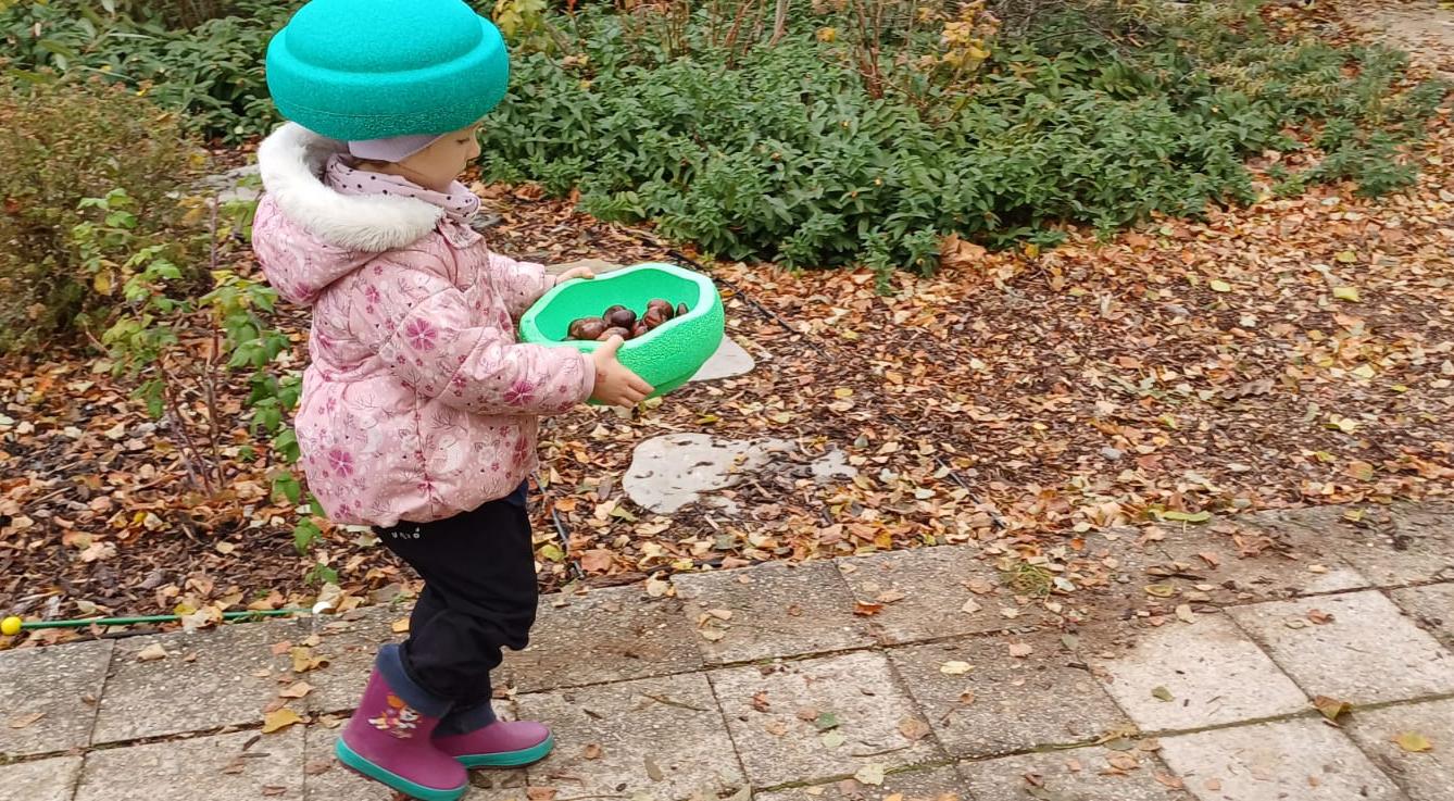 hledání podzimníčků - 20