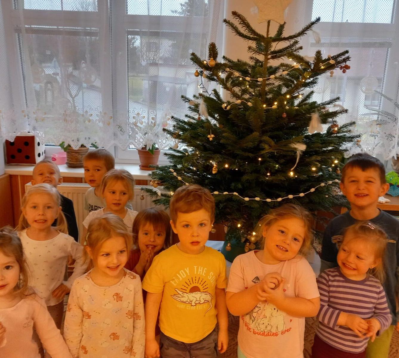 zdobení vánočního stromečku - 13