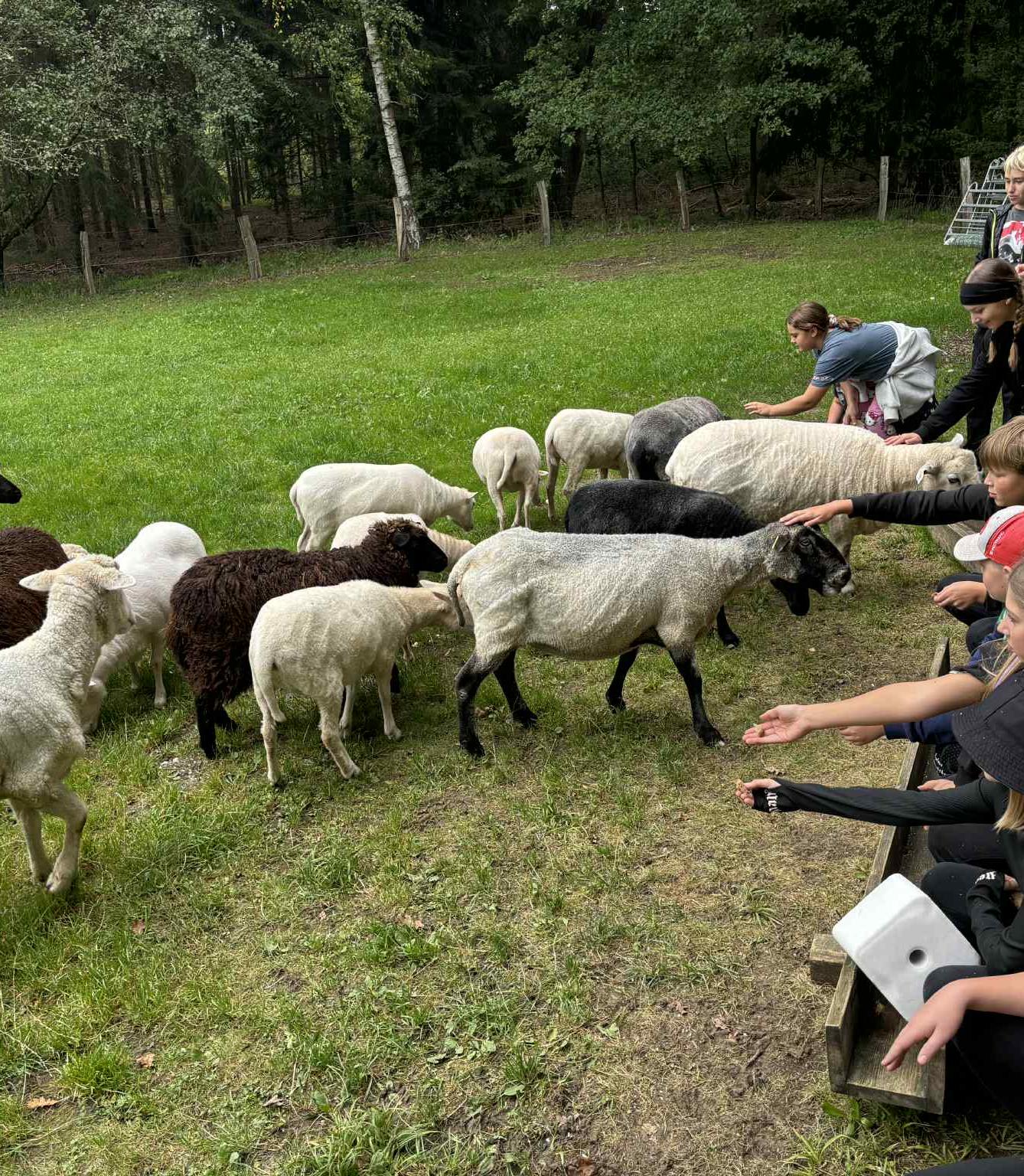 Adaptační kurz- den druhý - 18