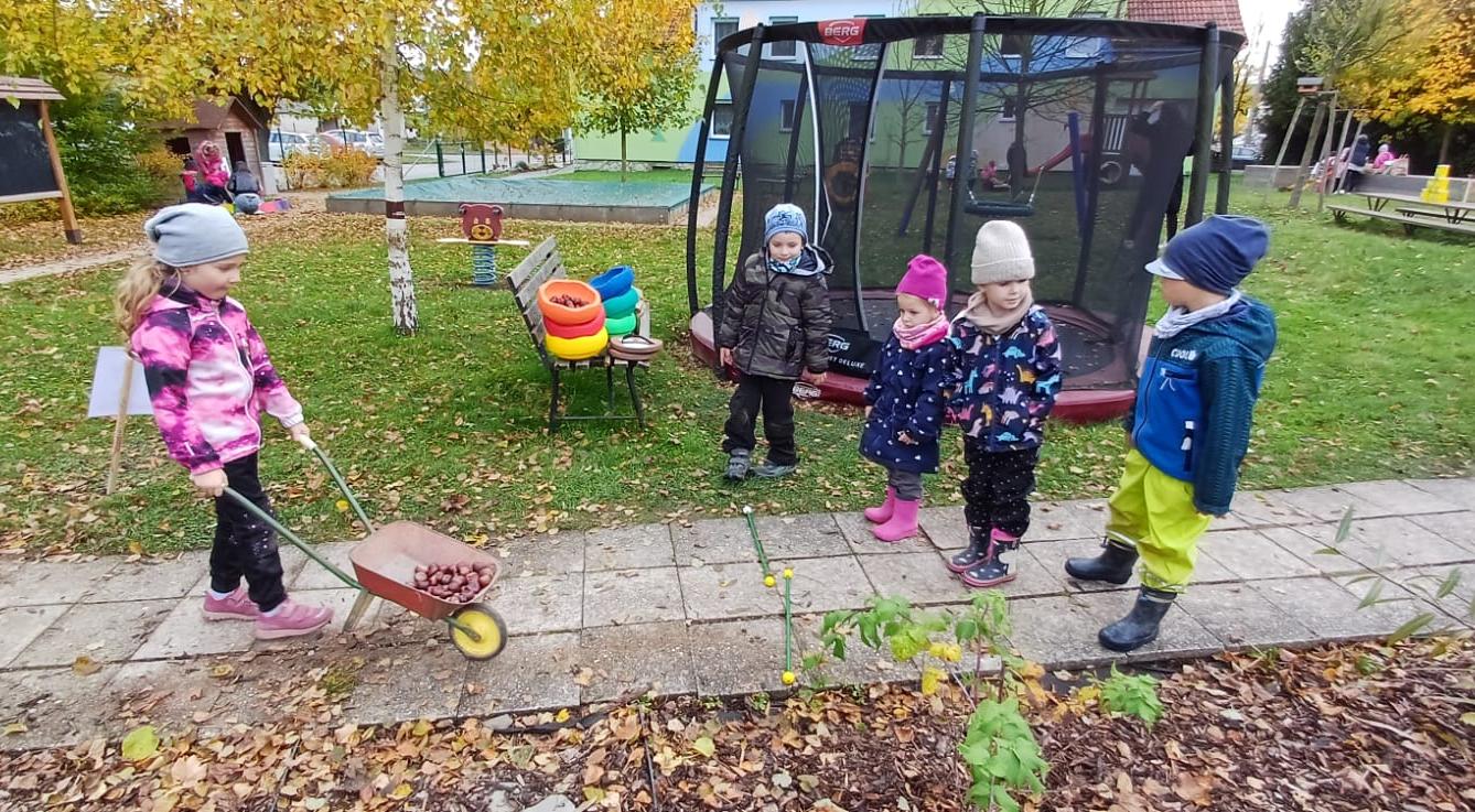 hledání podzimníčků - 24