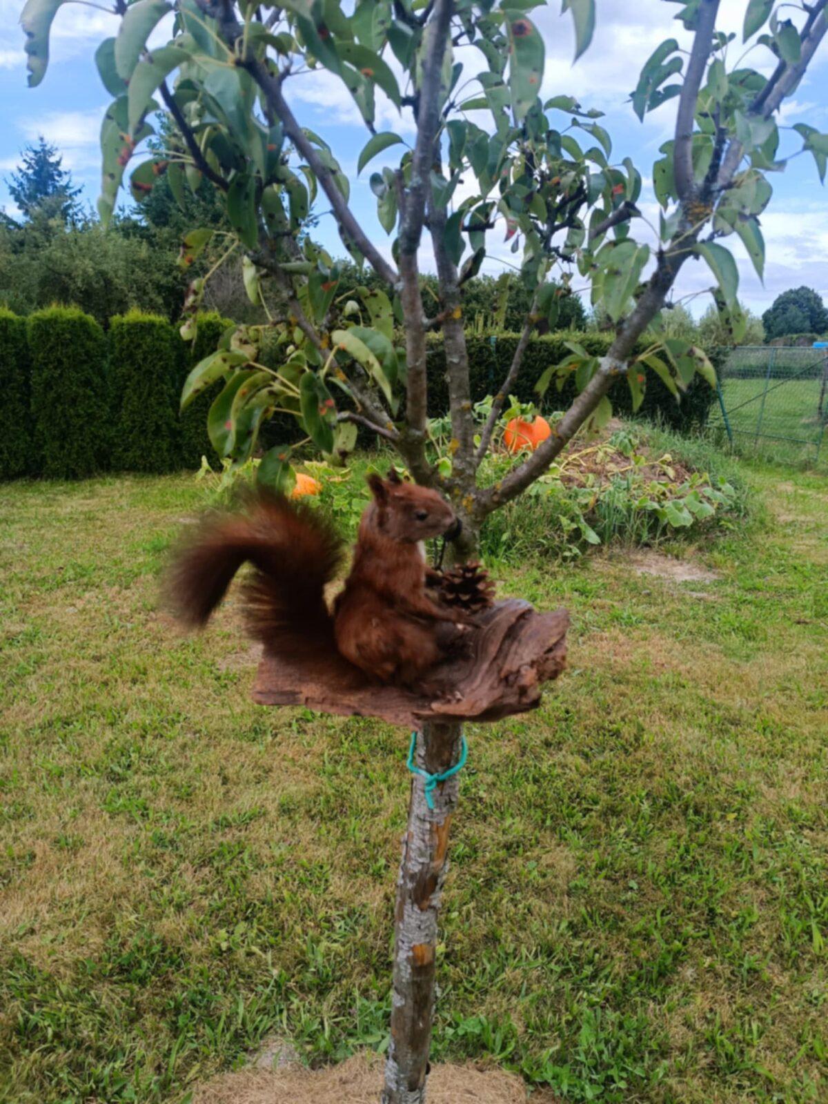 Týden plný zábavy II - pondělí - 34