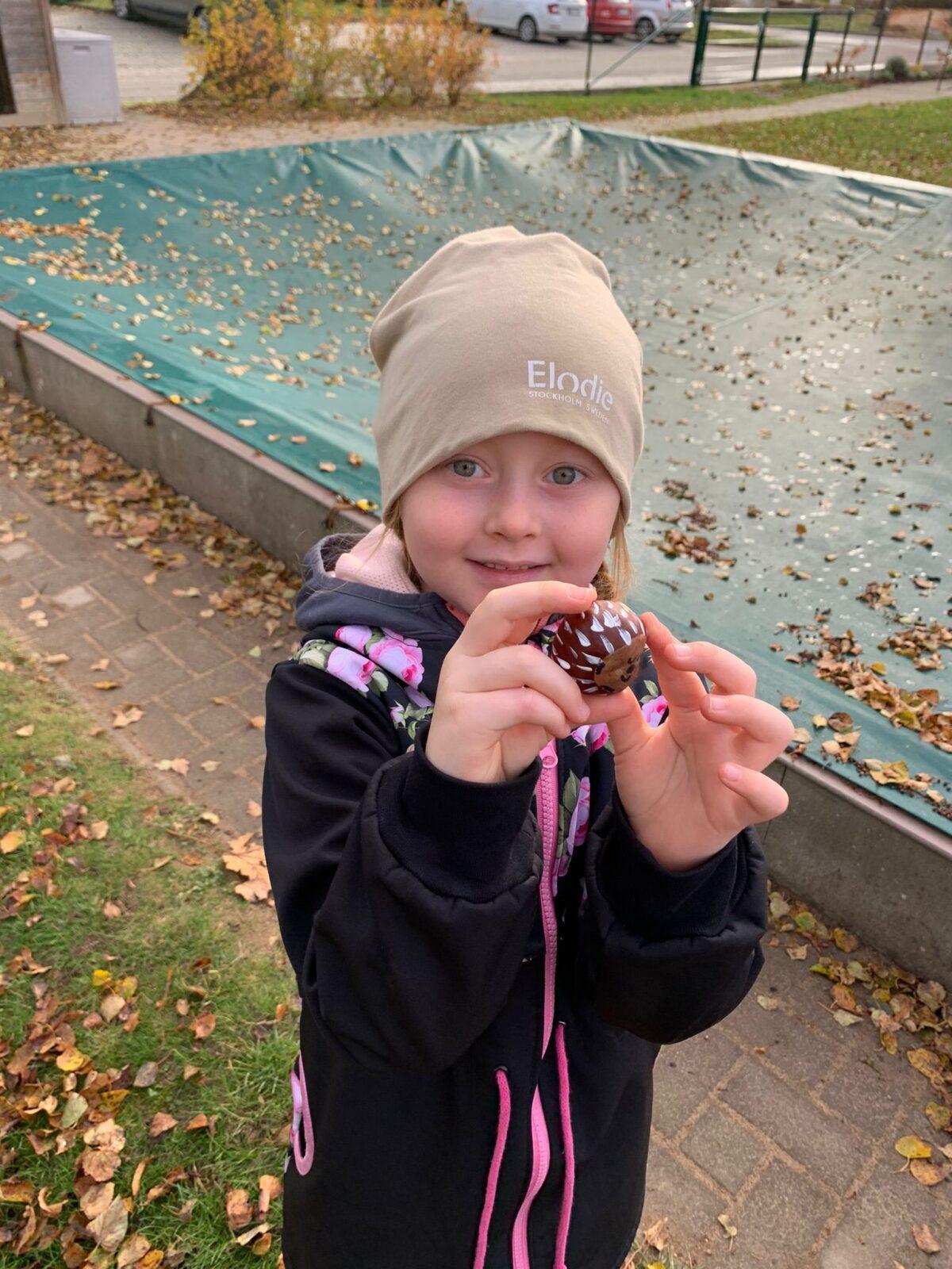 hledání podzimníčků - 28