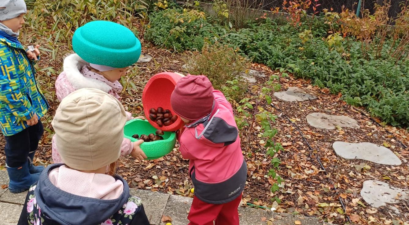 hledání podzimníčků - 29