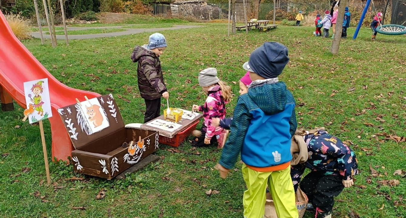 hledání podzimníčků - 33