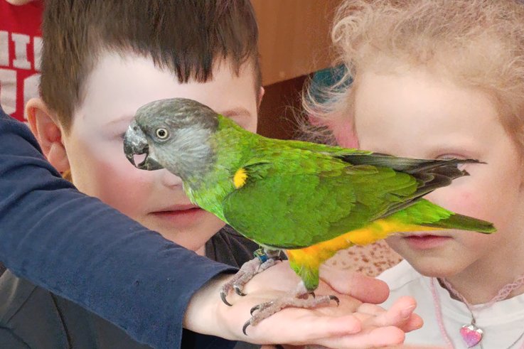 VZDĚLÁVACÍ PROGRAM - PTÁCI